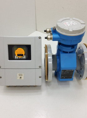 ENDRESS+HAUSER PROMAG S 55S80-ECGB1AC1AAAA + PROMAG 55 55S40