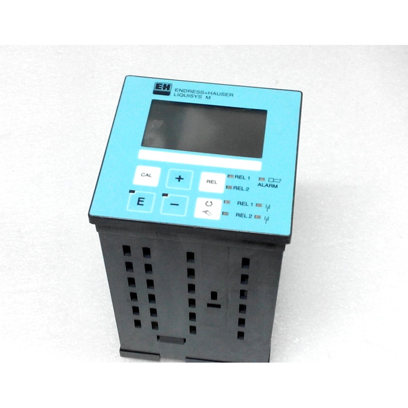 ENDRESS+HAUSER LIQUISYS-M CLM223-CS8010