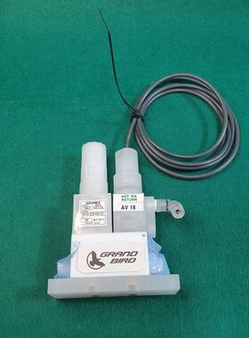 ADVANCE NX219A-2ACB-K058-301 气门,全新