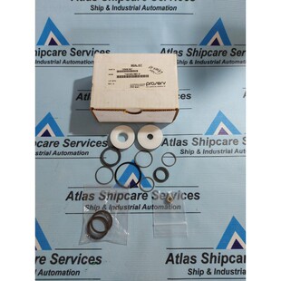 PROSERV 25956 SK Riparazione Kit di Guarnizioni