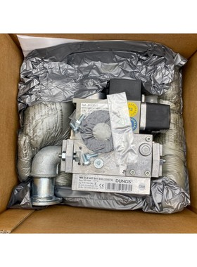 ECOFLAM 3123525 GT-D1-MBDLE407-RP20-170-250 DUNGS MB-DLE 407