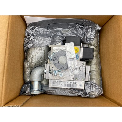 ECOFLAM 3123525 GT-D1-MBDLE407-RP20-170-250 DUNGS MB-DLE 407