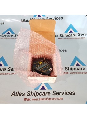 Detcon TP-524C Microsafe H2S Gas Sensor