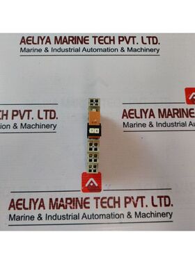 Weidmuller PXZ 35 Presa Relè 10A/250VAC