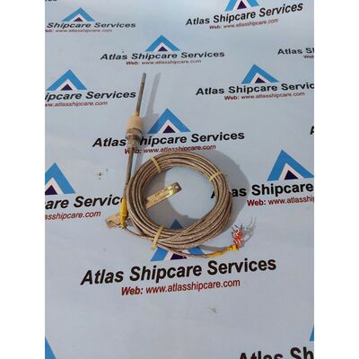 FSR-483 2XPT100 Sensore Temperatura