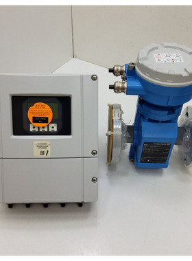 ENDRESS+HAUSER PROMAG S & PROMAG 55 55S32-EAGB1AC1AAAA