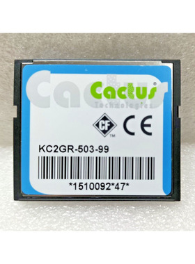 CACTUS TECHNOLOGIES KC2GR-503-99 小巧闪存 2GB 内存卡 - 批量
