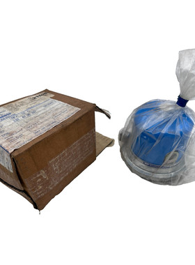 GEORGIN NFA 10 C PRESSOSTAT GAZ 1/4F NAP 100 CB0 0000 3000mb