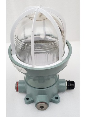 Luminaire FICL-IL220 ILSHIN INDUSTRIAL ELECTRIC Co. Antidéf