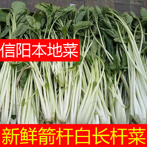 信阳本地菜长杆菜做腌菜很好吃