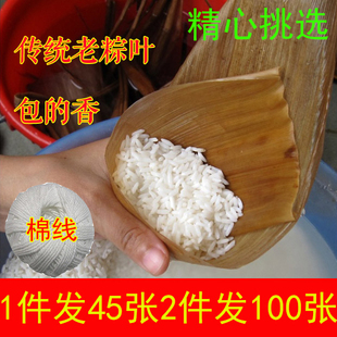 粽叶新鲜大粽叶天然野生毛竹楠竹笋壳叶干粽叶粽子叶端午节包粽子