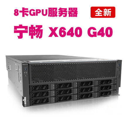 8卡机GPU服务器深度学习 超云-R8428G12国鑫-AS4110G宁畅-X640G40