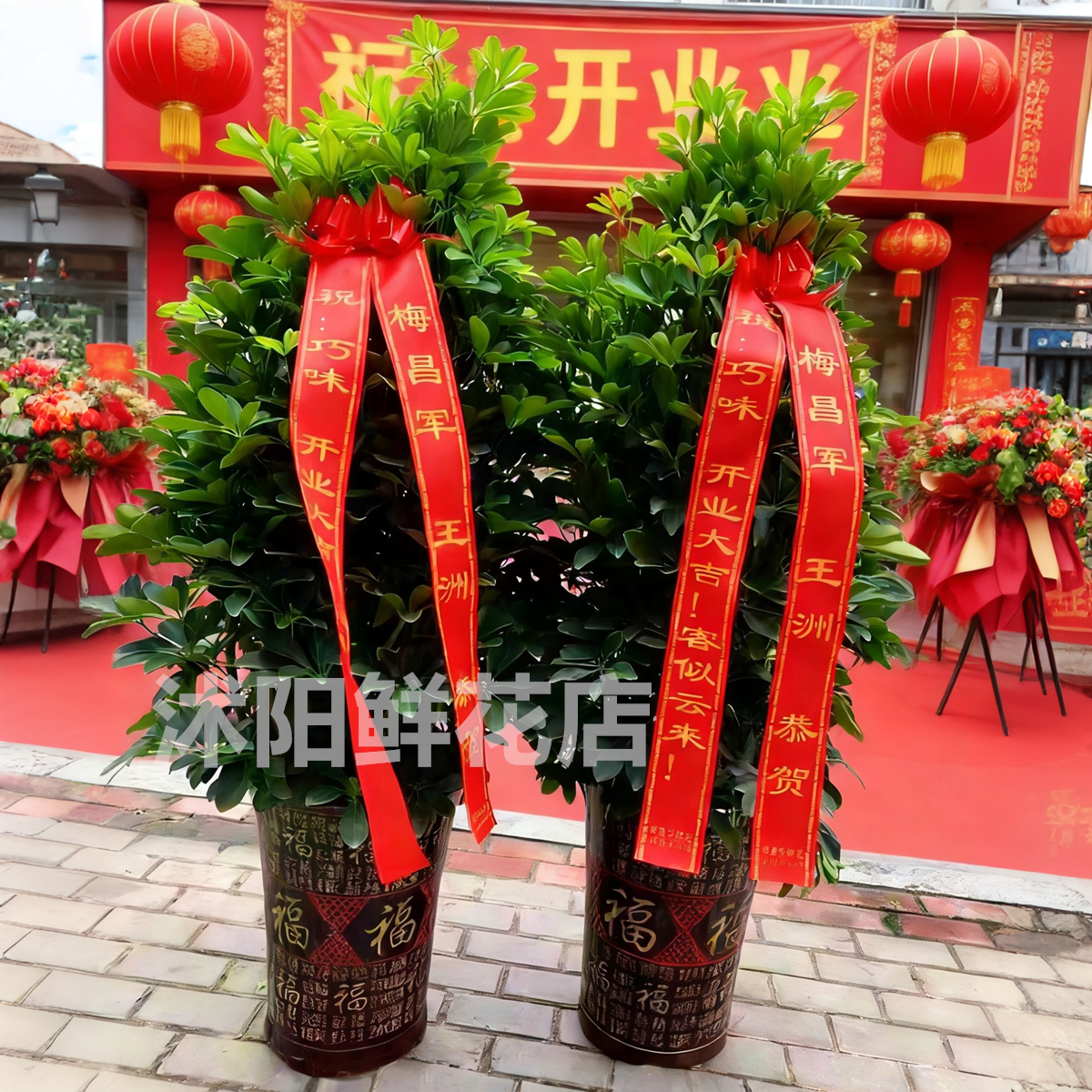 沭阳县开业花篮开业盆景绿植宿迁沭阳鲜花店开业礼物同城送花上门