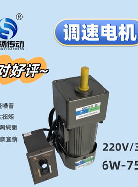 HLING华铃齿轮调速定速减速电机400W微型马达传送带烤全羊专用IK
