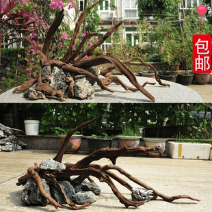 沉木水草缸造景套餐 巴榕疯狂石头造景装饰白沙ADA化妆砂水草造景
