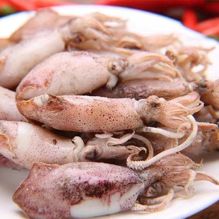 温州大号海兔子新鲜笔管鱼无籽海兔墨鱼仔小鱿鱼海鲜水产新鲜半干