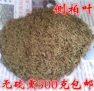 侧柏叶中药材侧柏叶柏树叶扁树叶天然洗涤剂500g包邮可磨侧柏叶粉