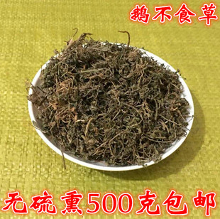 鹅不食草中药材鹅不吃草新鲜干草粉非野生鹅不食饿不食草500g包邮