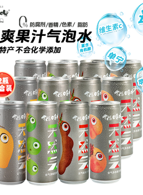 云南特产 猫哆哩天然气泡果汁健康无添加多口味混合装330ml*12罐