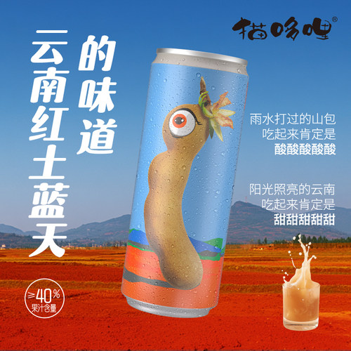 新品云南的酸酸甜甜气泡水果汁