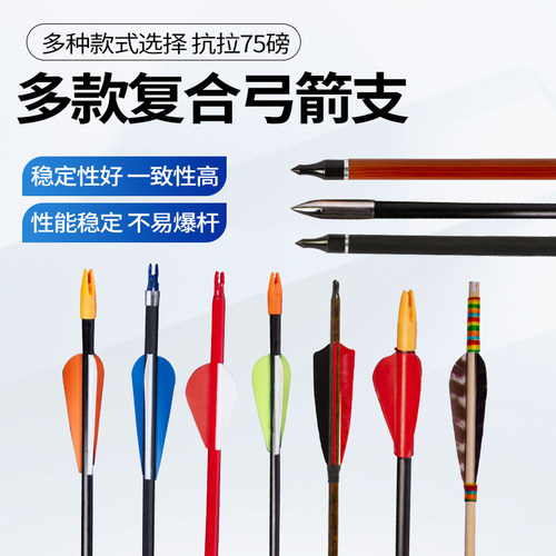 复合弓箭支传统反曲弓射箭练习玻