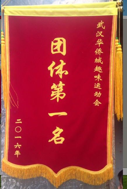 平绒定做锦旗印字 高档锦旗 定旗帜/锦旗