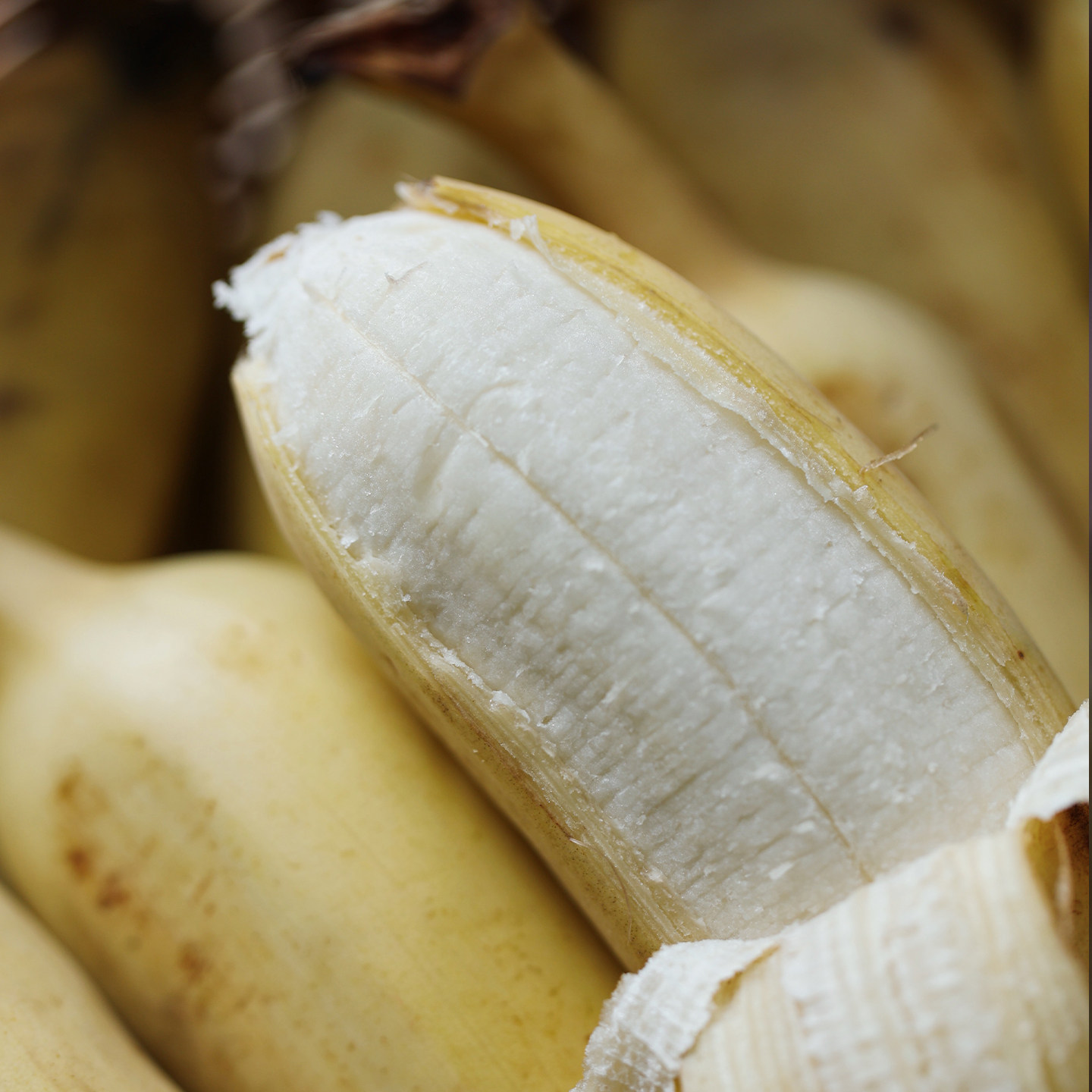 悟空家高山野生芭蕉Ｑ弹香蕉新鲜水果孕妇宝宝辅食非米蕉粉蕉海南,水产肉类/新鲜蔬果/熟食,香蕉,淘宝优惠券,粉丝福利购,淘宝优惠卷
