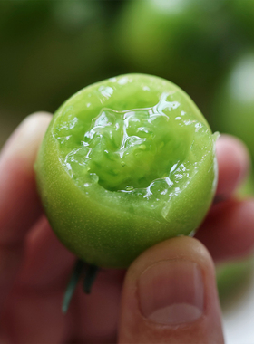 悟空家青甜小番茄绿色小圣女果新鲜孕妇水果蔬菜小柿子脆甜西红柿