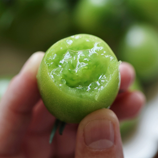 悟空家青甜小番茄绿色小圣女果新鲜孕妇水果蔬菜即食小柿子爆汁