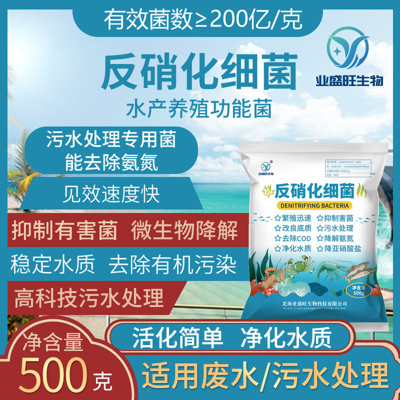 业盛旺硝化细菌降解氨氮亚硝酸盐