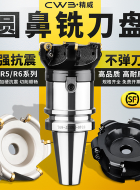 EMRW/EMR圆鼻面铣刀盘铣面刀头R5/R6铣刀装R5/R6圆刀片开粗圆刀头
