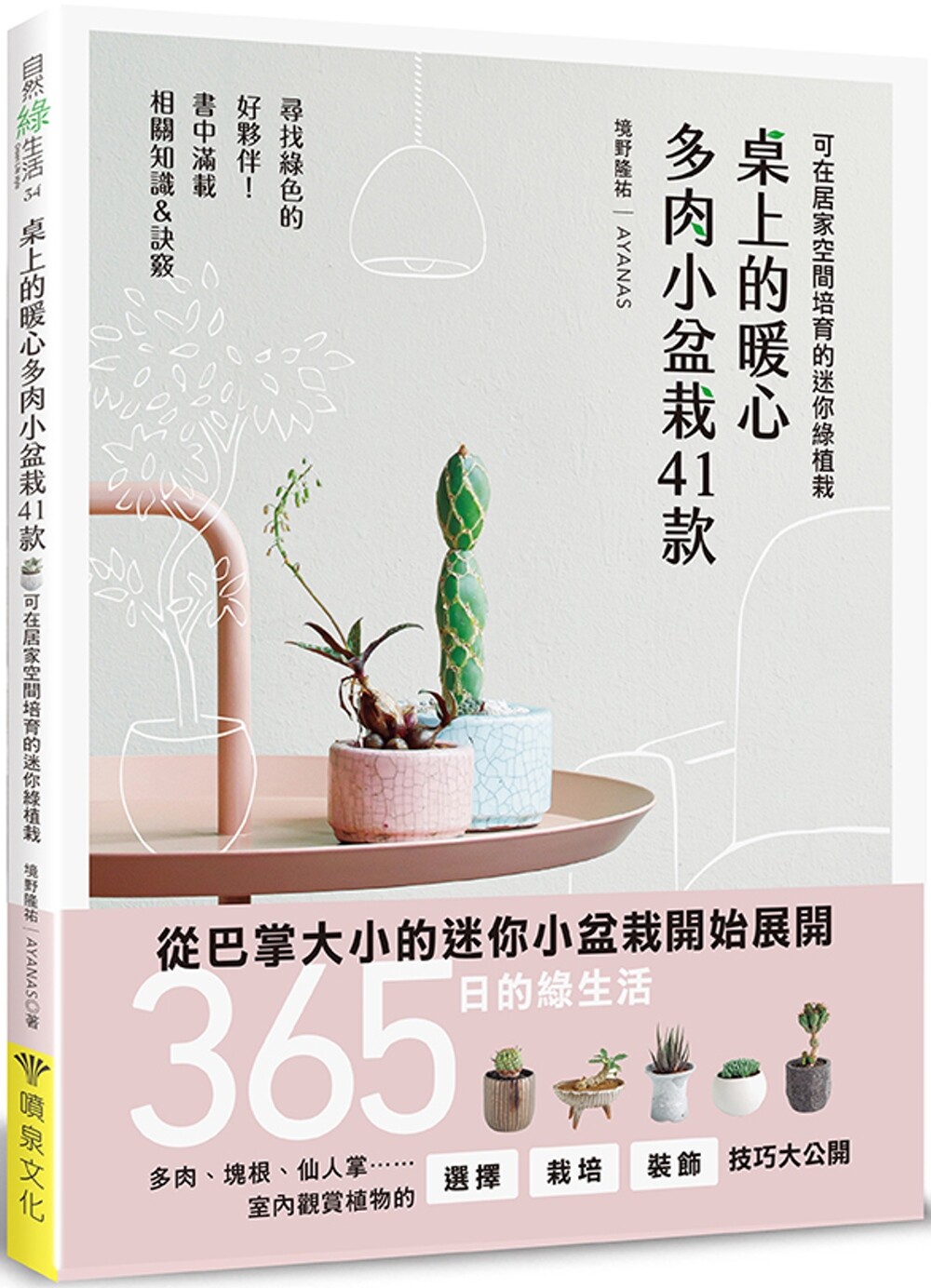 预售 桌上的暖心多肉小盆栽41款:可在居家空间培育的迷你绿植栽 喷泉文化馆 境野隆祐