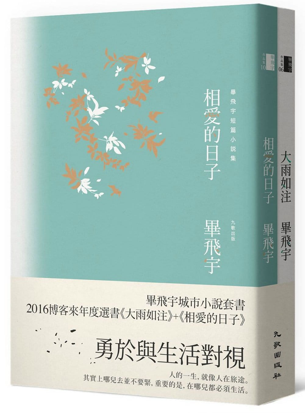 预售 毕飞宇 毕飞宇城市小说套书（大雨如注+相爱的日子） 九歌