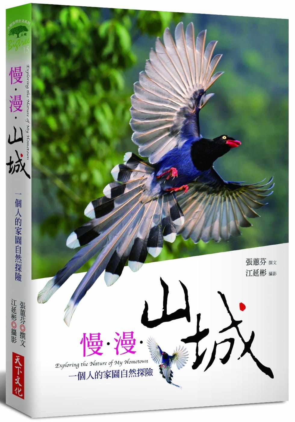 预售 张蕙芬 慢-漫-山城：一个人的家园自然探险 天下文化