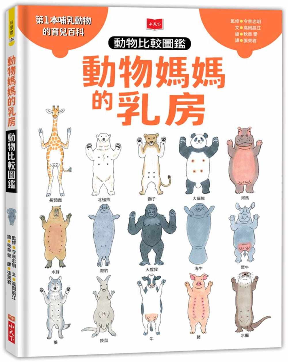 预售高冈昌江动物妈妈乳房