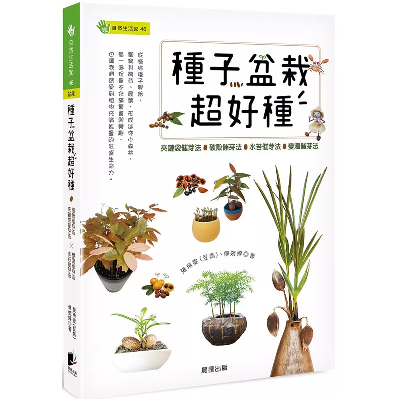 张琦雯种子盆栽超好种