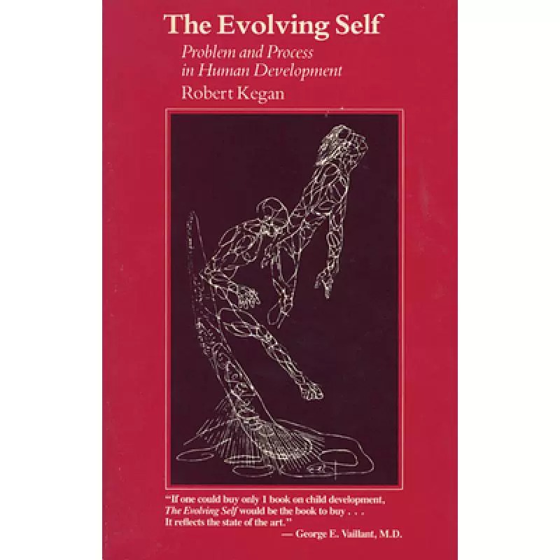 现货 英文原版 The Evolving Self : Problem and Process in Human Development