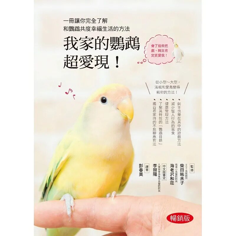 预售 我家的鹦鹉超爱现！ 畅销版 必须知道的关于鹦鹉的10件事 一起游戏让感情更亲密 柴田祐未子 汉欣 生活风格图片