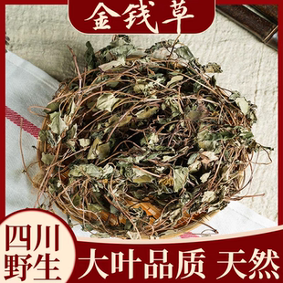 野生金钱草新货中药材500g正宗四川金钱草中草药叶金钱草泡水 正品