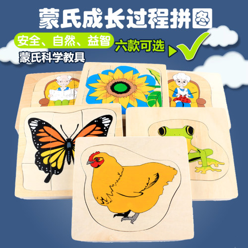 多层成长故事发育母鸡蒙氏教具