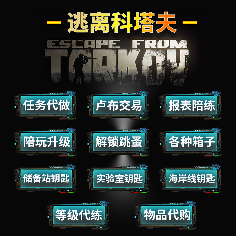 逃离塔科夫 陪玩 卢布冰镐 俄版白边升级黑边 接新档3X4 封号包陪