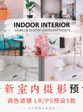 0327-LR+PS预设 清新室内摄影LRPS预设手机APP预设 5款