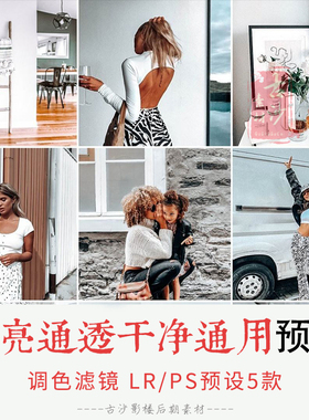 0138-LRPS预设INS网红摄影师5种明亮通透干净通用预+移动APP滤镜
