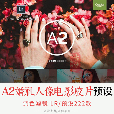 0116-LR预设 222个VSCO滤镜爱好者必呗A2婚礼人像电影胶片