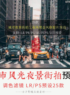0157LRPS预设城市风光夜景街拍工业风黑金胶片PRpsAEFCPXLUT预设