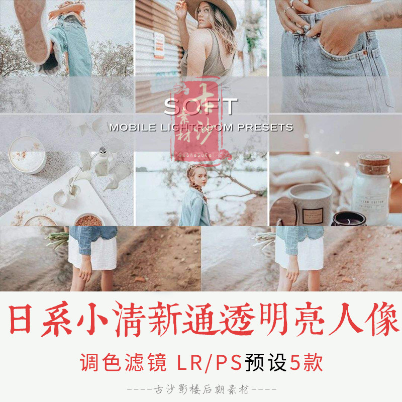 0257-LR+PS预设 日系小清新通透明亮人像预设手机APP调色滤镜 5款