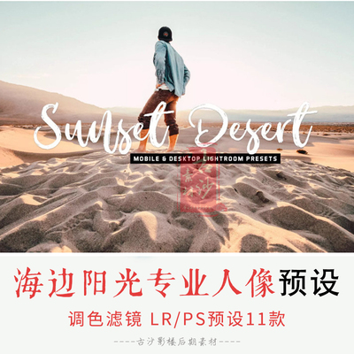 058-LR PS预设-11款海边阳光专业人像lr滤镜预设支持手机版