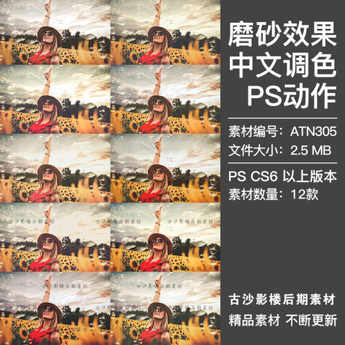 PS中文调色动作人像旅游照片怀旧磨砂效果影楼摄影后期插件ATN305