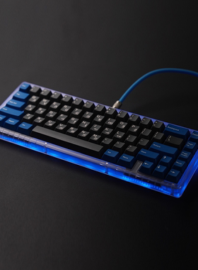 65键有线单模机械键盘PC注塑套件 Swagkeys EAVE65