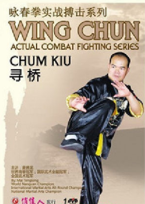 武术教学碟片正版光盘 咏春拳实战搏击系列 寻桥 1DVD 麦腾龙